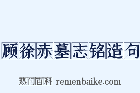 顾徐赤墓志铭造句是什么意思的图片